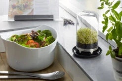 GEFU Sprossenglas BIVITA® 10 GEFU Sprossenglas BIVITA® -GEFU Verkaufsgeschäft 18910 GEFU Sprossenglas BIVITA 003