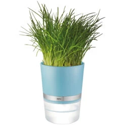 GEFU Kräutertopf BOTANICO, Azurblau