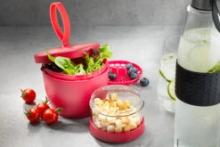 GEFU Verkaufsgeschäft -GEFU Verkaufsgeschäft gefu snack box foodie 570 ml und 185 ml in himbeerrot 1